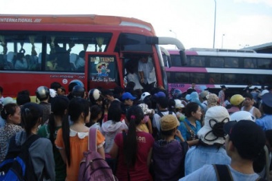 Đà Nẵng: Vé xe Tết  Quý Tỵ sẽ tăng từ 50 – 60%