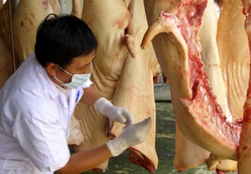 "Phù phép" bò Lào thành bò Việt