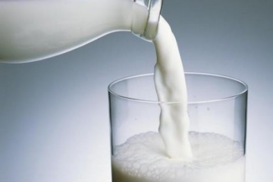 Sữa bò có thể ngăn chặn HIV