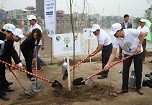 Quỹ 1 triệu cây xanh về đích trước kế hoạch năm 2012