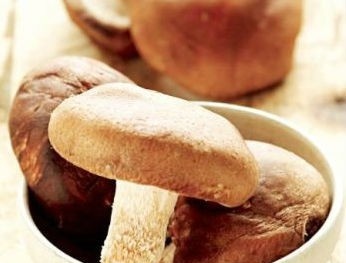 Người bị gan nhiễm mỡ nên ăn gì?