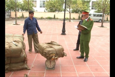 Bắt giữ hơn 1 tấn nầm lợn bẩn giữa thủ đô