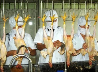 2015: Hà Nội sẽ được dùng thịt sạch