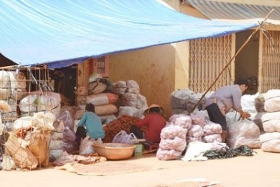 Hóa phép rau củ Trung Quốc thành hàng Việt