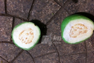 "Ghê người" ổi ngâm hóa chất