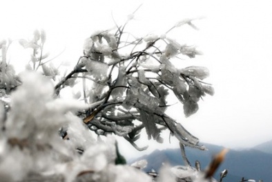 Miền Bắc tiếp tục rét đậm, khả năng băng giá ở vùng cao