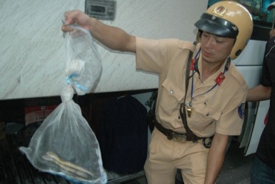 Trắng đêm chặn hàng lậu, nội tạng thối