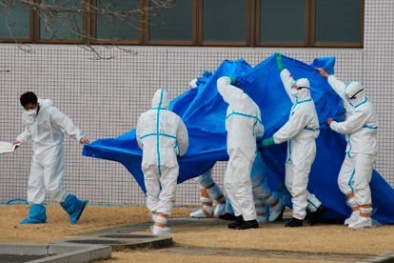 Lương chuyên gia điện hạt nhân gấp 30 lần lương công chức