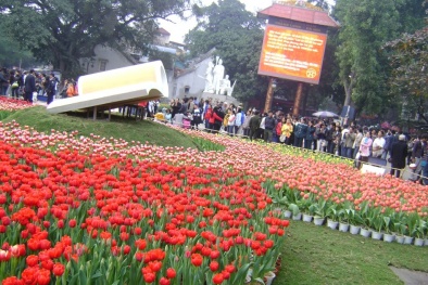 Giáp Tết Nguyên đán, Hà Nội mở hội hoa xuân