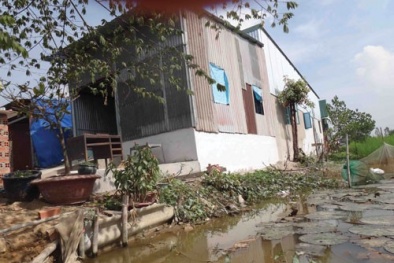 Thanh tra xây dựng: Đã mời ăn nhậu còn vòi tiền dân