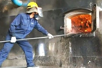 Hàng chục tấn thịt bẩn trong kho đông lạnh