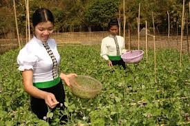 Hơn 14 năm không có người sinh con thứ 3