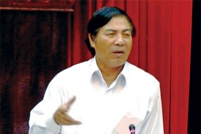 Ông Nguyễn Bá Thanh "phản pháo" Thanh tra Chính phủ