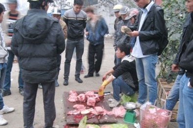 Thịt cá sấu bán vỉa hè đắt khách