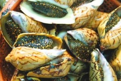 Ăn gì, chơi đâu khi tới Hà Tiên