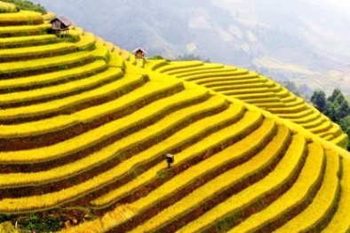 Những thắng cảnh Việt Nam trong bảng xếp hạng thế giới