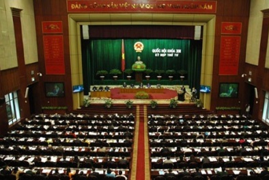 Những xúc cảm từ Quốc hội