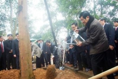 Chủ tịch nước Trương Tấn Sang phát động Tết trồng cây