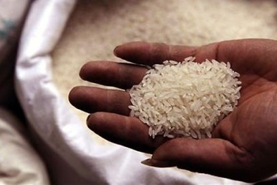 Bột gạo Việt từ ruộng trũng lên thực đơn toàn cầu