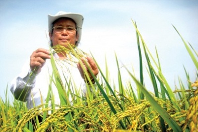 Nhà khoa học phải được trả "bản quyền" như nhạc sĩ