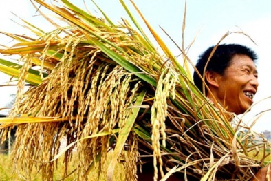 Nhà khoa học sẽ được hưởng "bản quyền" phát minh