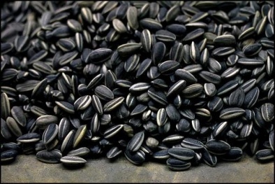 Hạt hướng dương trong nước an toàn