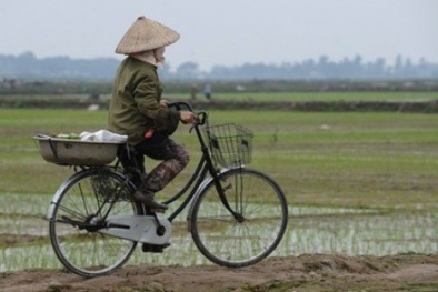 Kỉ luật 9 cán bộ sai phạm đất đai