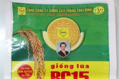 Sản xuất bao bì lúa giả
