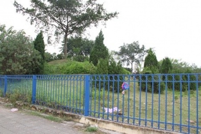 "Xẻ thịt" sân Mỹ Đình: Thanh tra...chờ!