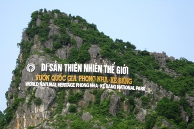 Giám đốc "cắm" sổ đỏ vườn quốc gia Phong Nha - Kẻ Bàng?