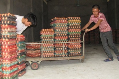 Trứng gà "ế" đầy kho