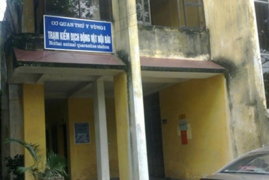 Dự án xây dựng khu cách ly Kiểm dịch Động vật Nội Bài bị "rút ruột"