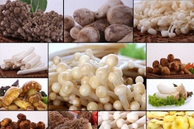 Cách chọn mua và chế biến món ngon từ nấm