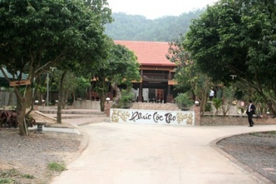 Đất rừng đang bị “xẻ thịt”