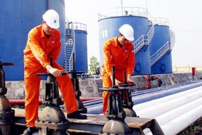 Ứng dụng ERP trong kinh doanh xăng dầu