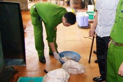 Bì lợn bẩn chuẩn bị chế thành nem Thanh Hóa