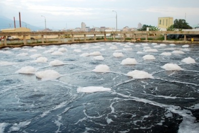 Doanh nghiệp nước ngoài gây ô nhiễm môi trường