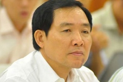 Giám đốc DN vận tải biển giúp Dương Chí Dũng bỏ trốn