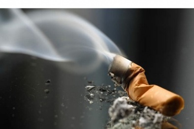 600.000 người chết vì thuốc lá