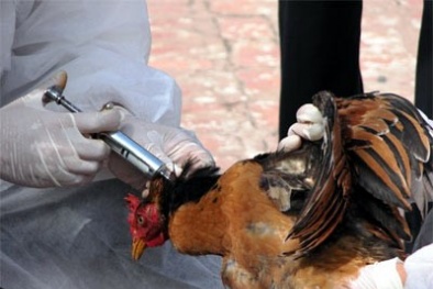 Sốt cao trên 38 độ phải đi khám ngay