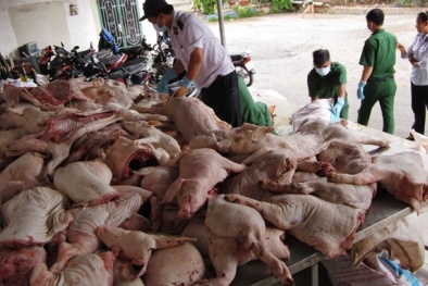 "Ăn thịt heo chết còn ngon hơn thịt heo sống" (!)