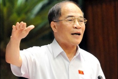 Quốc hội và những dấu mốc của ông Nguyễn Sinh Hùng