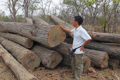 Tổng cục An ninh "sờ gáy" Quyền Giám đốc vườn quốc gia