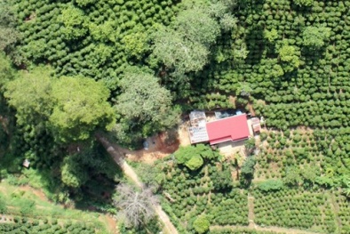 UAV chụp được từng ngọn cây núi rừng Tây Nguyên