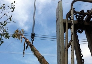 Cả miền Nam mất điện vì xe cần cẩu trồng cây