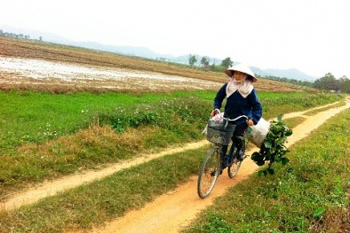 Khi nông dân chán ruộng