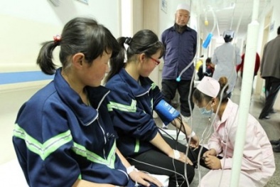 500 học sinh ngộ độc vì… bữa ăn dinh dưỡng