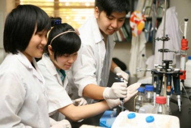 Thêm bất cập nhà khoa học giỏi