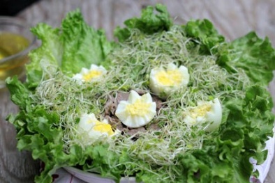 Khai vị với món salad rau mầm