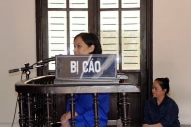 Nữ giám đốc lừa đảo 73 tỷ đồng